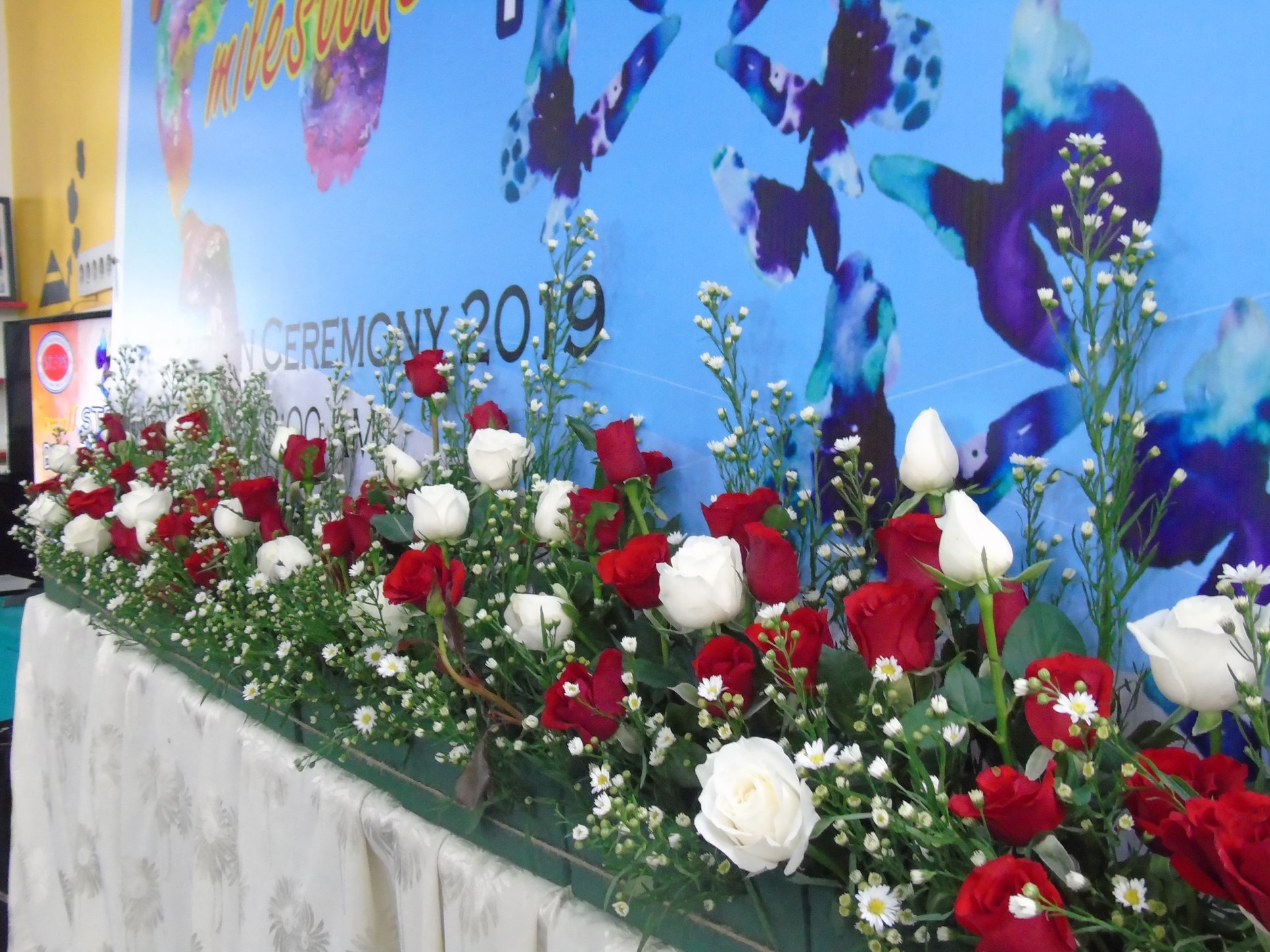 SMALL STEPS, BIG MILESTONES